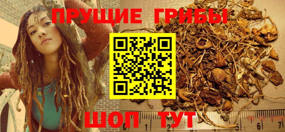 Тулун  Галлюциногенные грибы MAGIC MUSHROOMS  Галлюциногенные грибы мицелий  Вход с VPN 